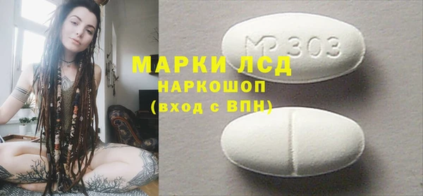 крисы Сатка