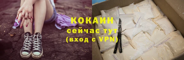 крисы Сатка