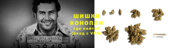 крисы Сатка