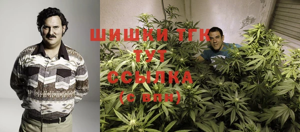 крисы Сатка