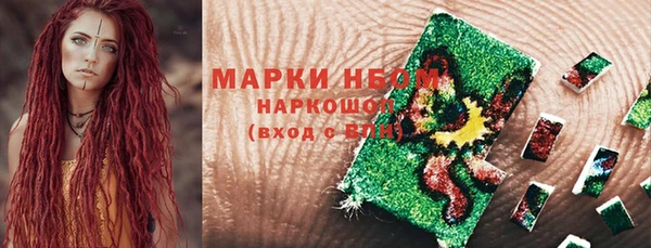 крисы Сатка