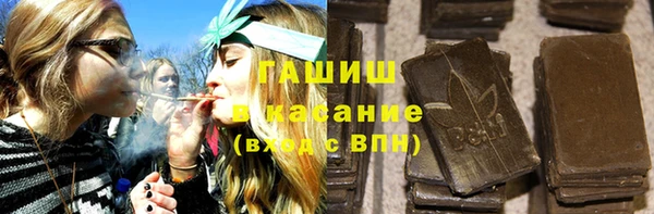крисы Сатка
