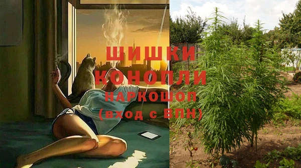 крисы Сатка