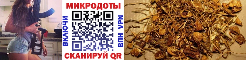где можно купить наркотик  Семёнов  ссылка на мегу ССЫЛКА  Галлюциногенные грибы Psilocybine cubensis 